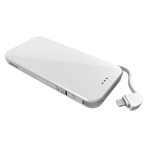 商品写真2 TPIL34LW「Lightningリチウムチャージャー 3000」