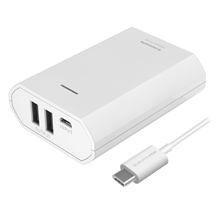 商品写真 FL82CAW「リチウムチャージャー7800 2P Type-C用」