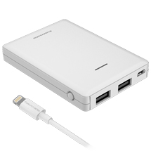 商品写真 FL103LAW「リチウムチャージャー5000 2P」