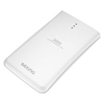 商品写真 FCL01A2, FCL01A3「ﾘﾁｳﾑチャージャー3000」